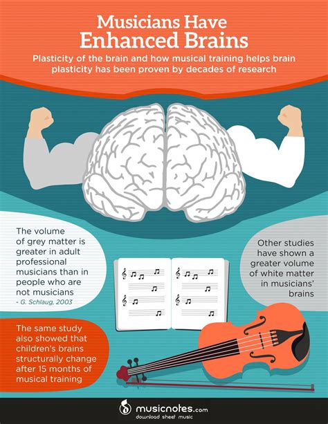 Learn How Music Benefits Your Mind Fun Animated Infographic Music