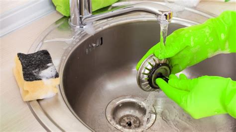 How To Get Rid Of Ants Around The Kitchen Sink Tips Guide Pest