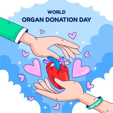 Premium Vector Hand Drawn World Organ Donation Day Illustration