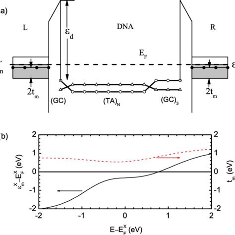 (a) Schematic illustration of the equilibrium energy band across the... | Download Scientific ...