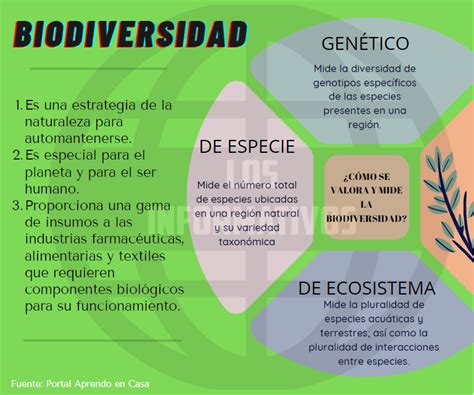 Que Es La Biodiversidad Los Informativos Themelower