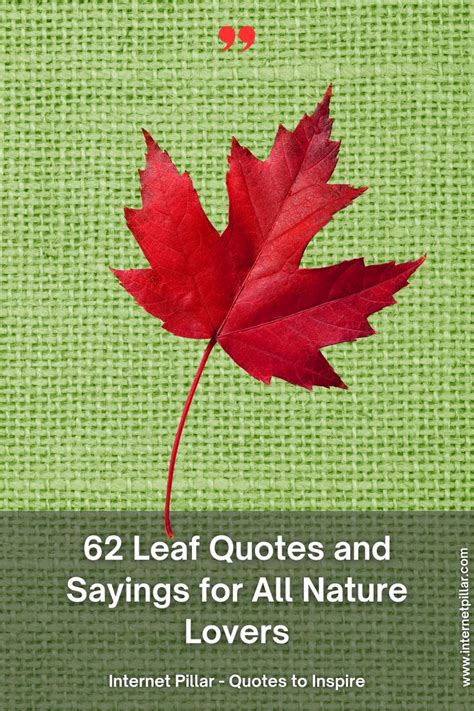 Leaf Quotes And Sayings For All Nature Lovers Leaf Quotes Nature