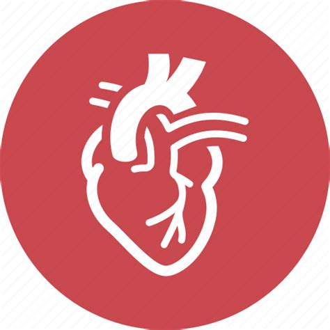 Cardiology Cardiovascular Heart Icon