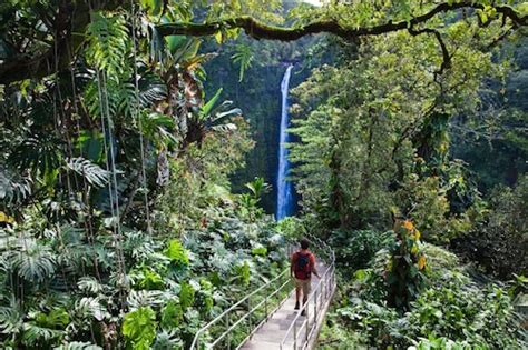 Best Day Hikes Big Island Hawaii Jeneva Fajardo