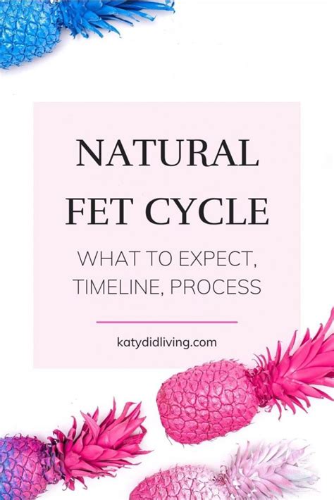 Modified Natural Fet Cycle Calendar Printable Calendar