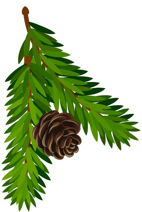 Free Pine Cone Clip Art Clipart Best