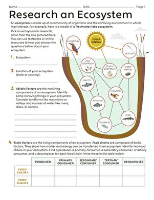 Research an Ecosystem | Worksheet | Education.com - Worksheets Library