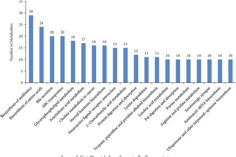 PDF A Genomic Analysis Of Bacillus Megaterium HT517 Reveals The