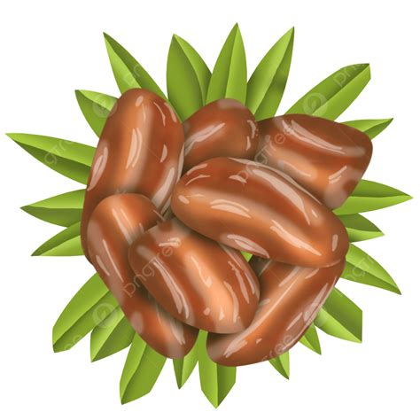 Date Fruit Png Picture Bunch Of Dates Fruit Dates Png Bunch Of Dates