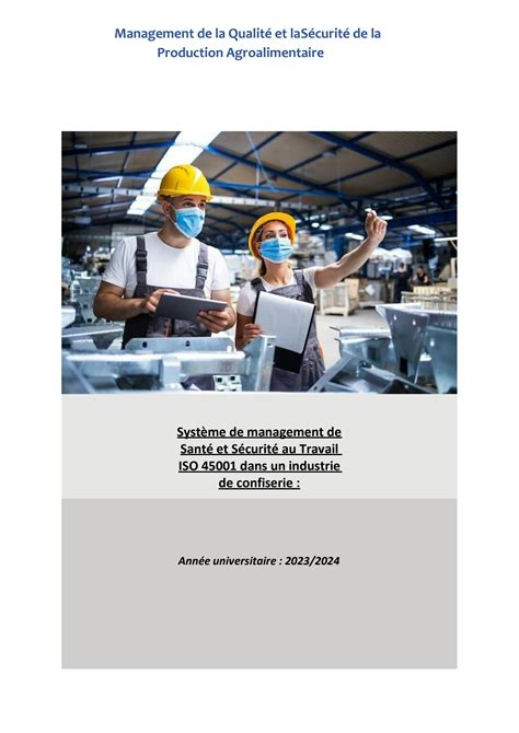 SOLUTION System De Management De Sant Et S Curit Au Travail Iso 45001