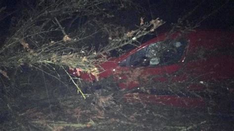 FOTO Nevrijeme na viničkom području Stablo palo na cestu i oštetilo