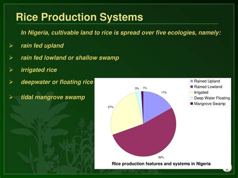 Ppt Impact Of Trade On Domestic Rice Production And The Challenge Of Self Sufficiency In