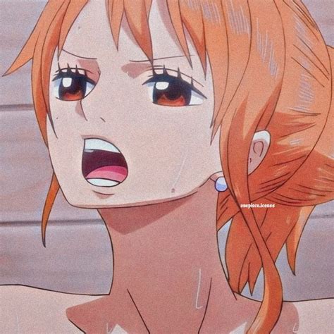 One Piece Nami One Piece Nami Swan