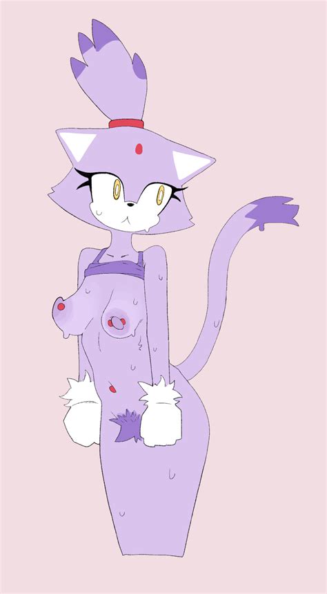 Rule 34 Blaze The Cat Female Pubic Hair Hairy Pussy Medium Breasts