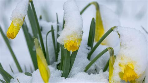 So Wird Das Wetter An Ostern Experten Geben Erste Prognosen Ab