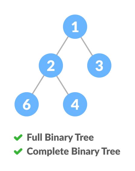 Draw The Complete Binary Tree With 15 Vertices Mitchell Catir1937