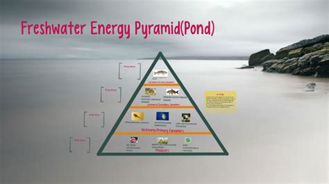 Freshwater Energy Pyramid Pond By Bruce Moe On Prezi