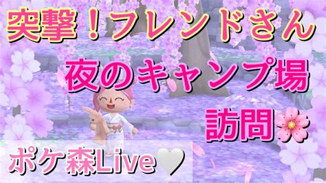 【ポケ森ライブ】突撃フレンドさん！夜のキャンプ場訪問🌸ミニゲームもやるよ～ Youtube