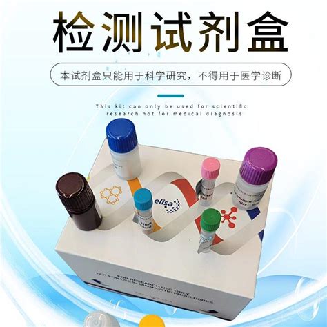 人白细胞介素1β IL 1β 品牌科博瑞规格 96T 48T 盖德化工网