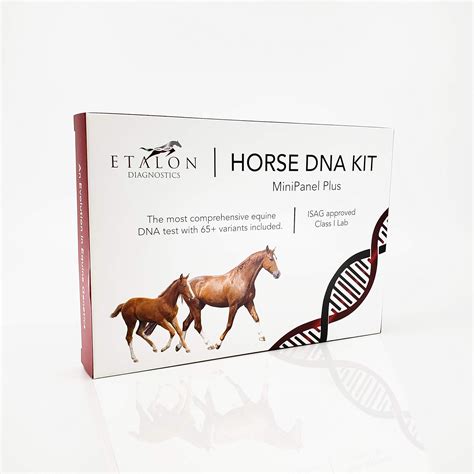 Etalon Diagnostics Horse Dna Test Genetic Testing Kit 55 Traits To