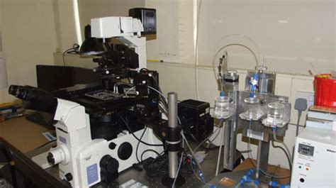 Optical Microscopy Research Groups Imperial College London