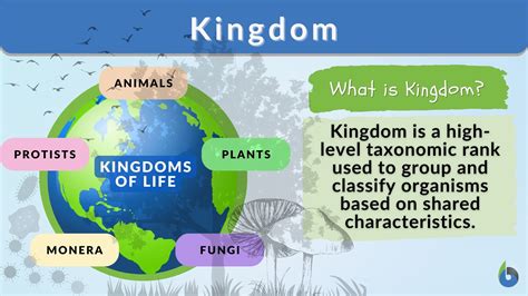 Five Kingdom Classification Monera