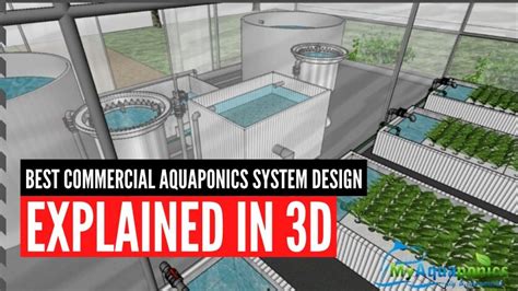 The Best Commercial Aquaponics System Design Explained In 3d 2020