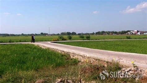 Dialihkan Untuk Pemukiman Lahan Pertanian Di Kota Madiun Berkurang 9