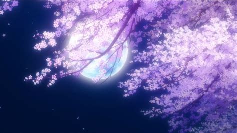 Pin By Rox On Bokutachi No Remake Cherry Blossom Wallpaper Pretty