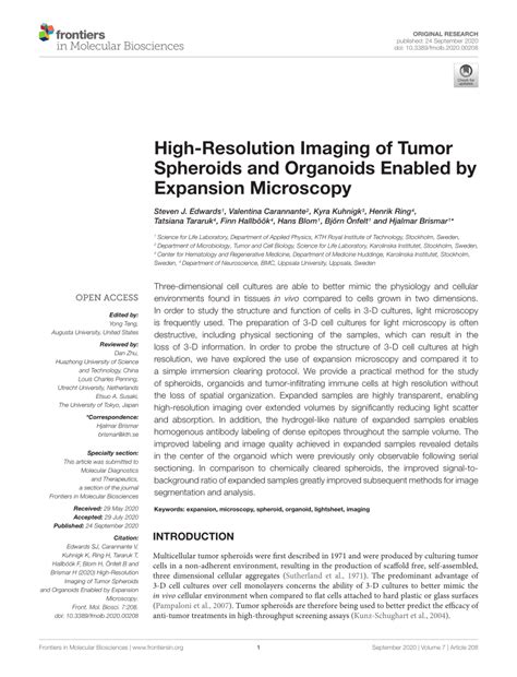 PDF High Resolution Imaging Of Tumor Spheroids And Organoids Enabled