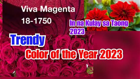 2023 TRENDY COLOR OF YEAR 2023 PANTONE VIVA MAGENTA IN NA KULAY