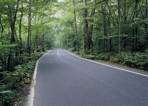 无人横图室外白天正面消失点旅游度假美景森林树林植物道路路公路日本亚洲景观交通娱乐树树木绿色自然