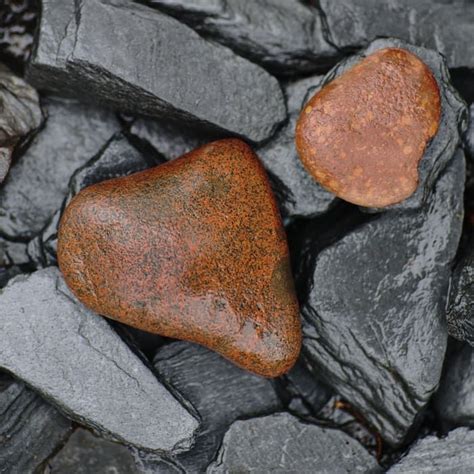 Common Beach Stone Identification Including Dolomite Quartz