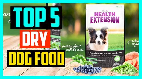 Top 5 Best Dry Dog Food 2024 Natural Organic And Weight Loss Youtube