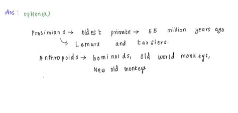 SOLVED: Choose the correct order of primate evolution, from the oldest to the most recent group ...