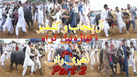 Bail Akhara Krah In Dheri Wattan Part 2 18 04 2024 Akash Tv