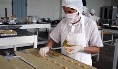 Como Montar uma Fábrica de Pão de Queijo Emprego e Renda Como