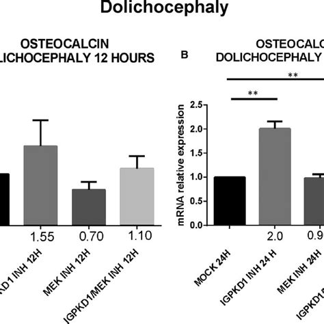 Expression Of Osteogenesisrelated Biomarker Osteocalcin Following