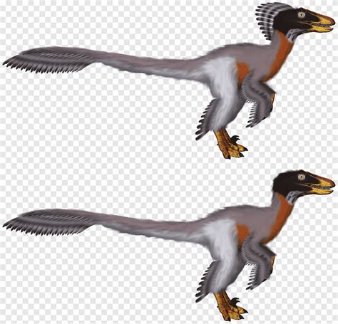 Raptor Velociraptor Vermelho Tiranossauro Paleoart Dinossauro