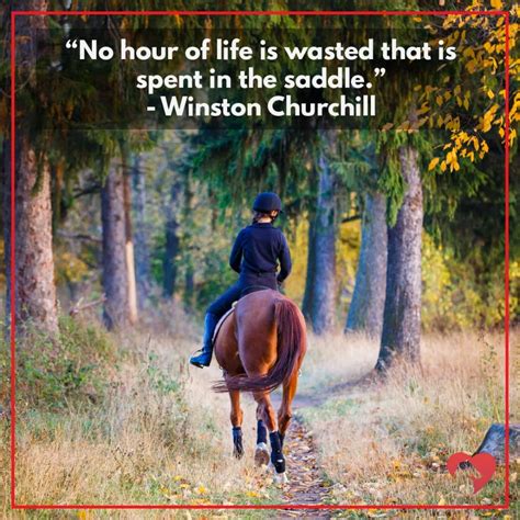 15 Greatest Quotes About Horses Of All Time Horse Quotes Horse