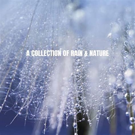 Amazon Music Rain Sounds Nature Collection Rain Sounds Sleep And