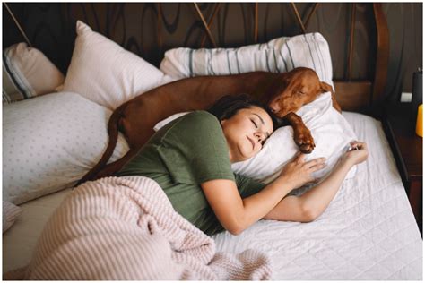 Woman Wakes Up To Mystery Dog Sleeping In Her Bed After Breaking In