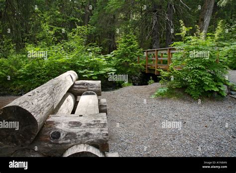 A Bench Along The Winner Creek Gorge Trail Girdwood Chugach National