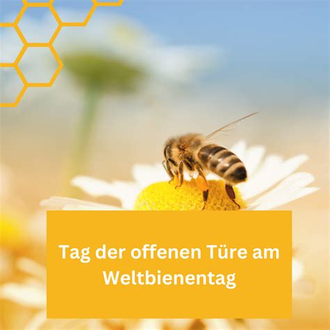 Weltbienentag Tag der offenen Türe am Lehrbienenstand