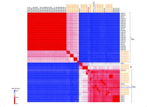 Ani Heatmap Of Sei And Sea Isolates Pg1 And Pg2 Demonstrates Two