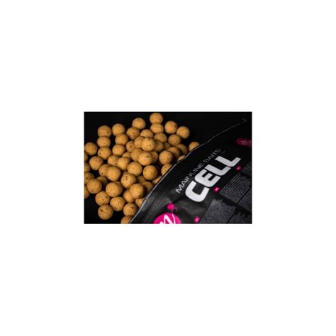 Mainline Shelf Life Cell Mm Kg Carp Hunter