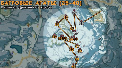 Где найти все Багровые агаты в Genshin Impact [80 шт.]