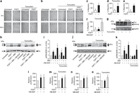 Tamoxifen Induced Inactivation Of ADAM17 Reduces FGF7 Stimulated