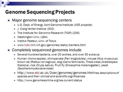 Topics In Bioinformatics What Is Bioinformatics Dna