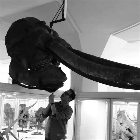 north american plate 1